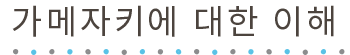 가메자키에 대한 이해